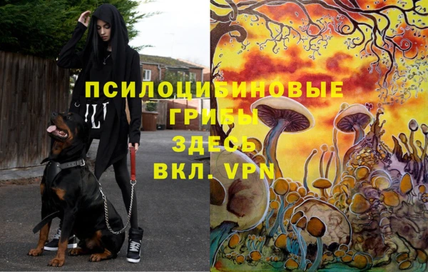 первитин Красноперекопск