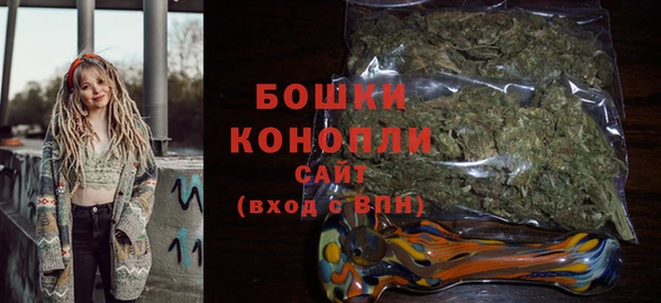 гашик Нестеровская