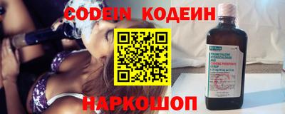 МДПВ Кингисепп