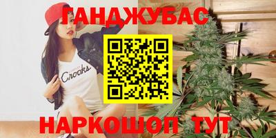 МДПВ Кингисепп