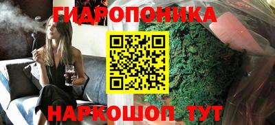 бошки Кинель
