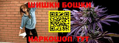 МДПВ Кингисепп