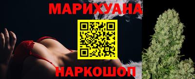 МДПВ Кингисепп