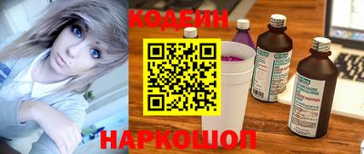 МДПВ Кингисепп