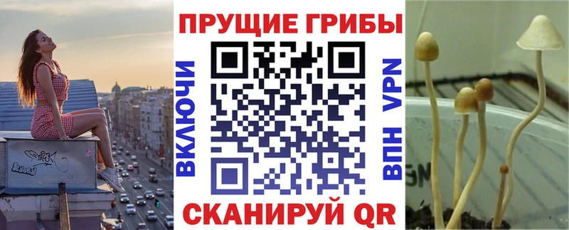 нарко площадка официальный сайт  Муром  Псилоцибиновые грибы мицелий  KRAKEN ССЫЛКА 