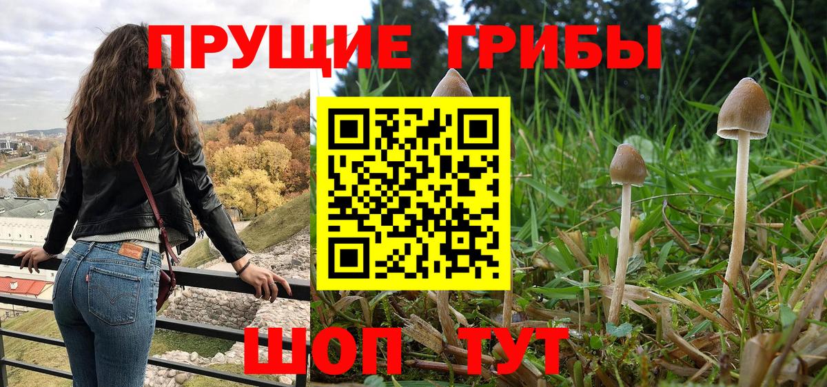 Галлюциногенные грибы Cubensis  Муром 