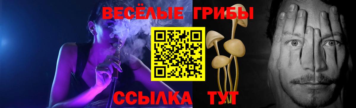 Галлюциногенные грибы Magic Shrooms  Галлюциногенные грибы GOLDEN TEACHER  Вход с VPN  Муром 