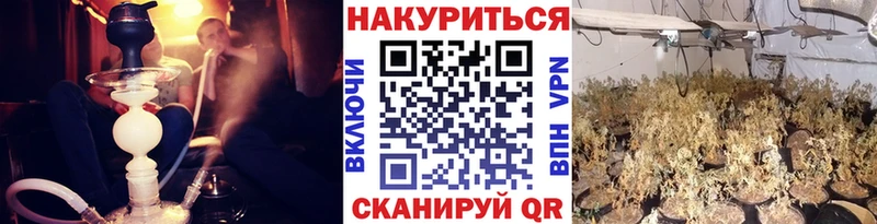 KRAKEN ссылки  Муром  Канабис White Widow 